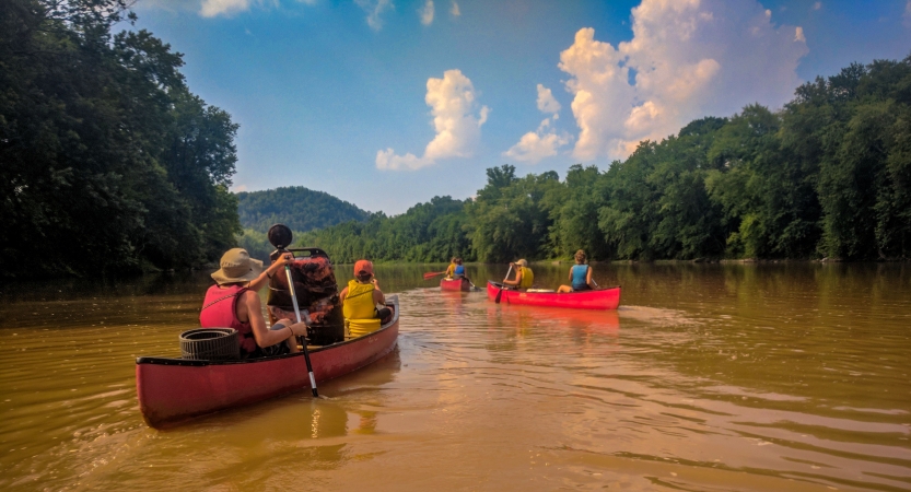 People wearing life jackets paddle three canoes away from the camera on muddy water. 